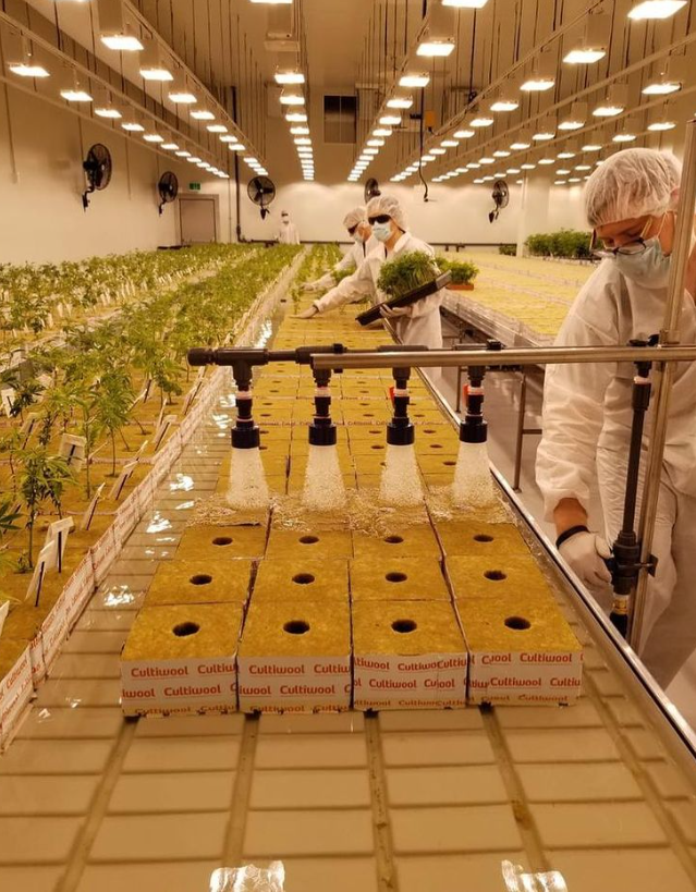 sprayingboomtablesaturation[2]